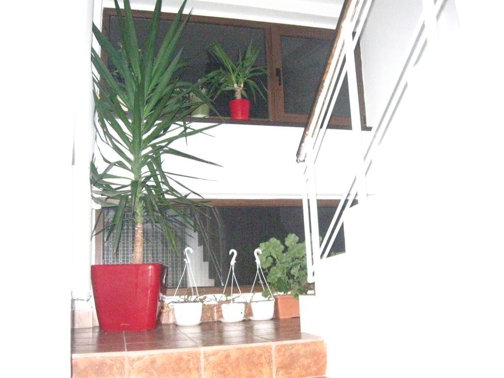 Vila Andreea Eforie Nord Exterior foto